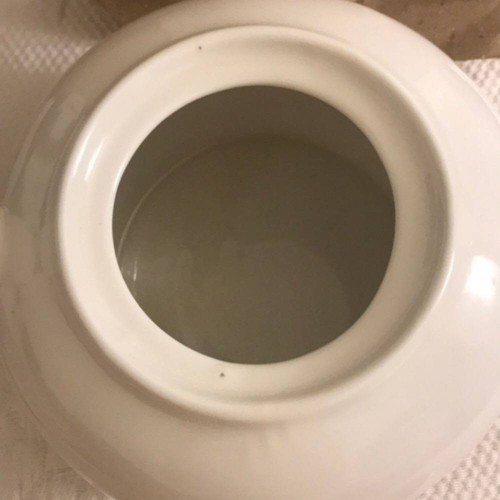 White Tea pot.